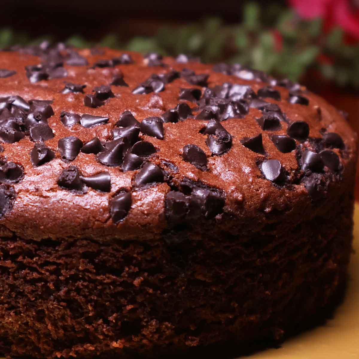 Chocolate Butter Dry Cake