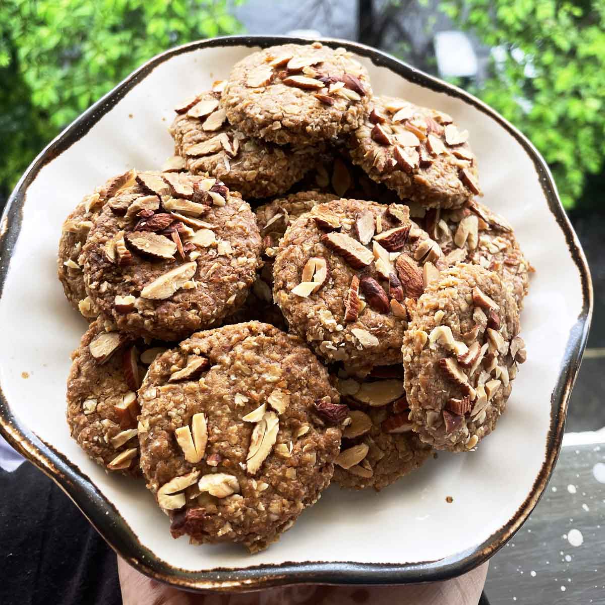 Gluten Free Honey Oats Coconut Cookies